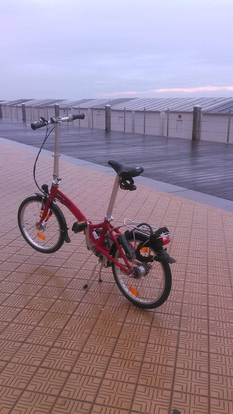 dahon roo