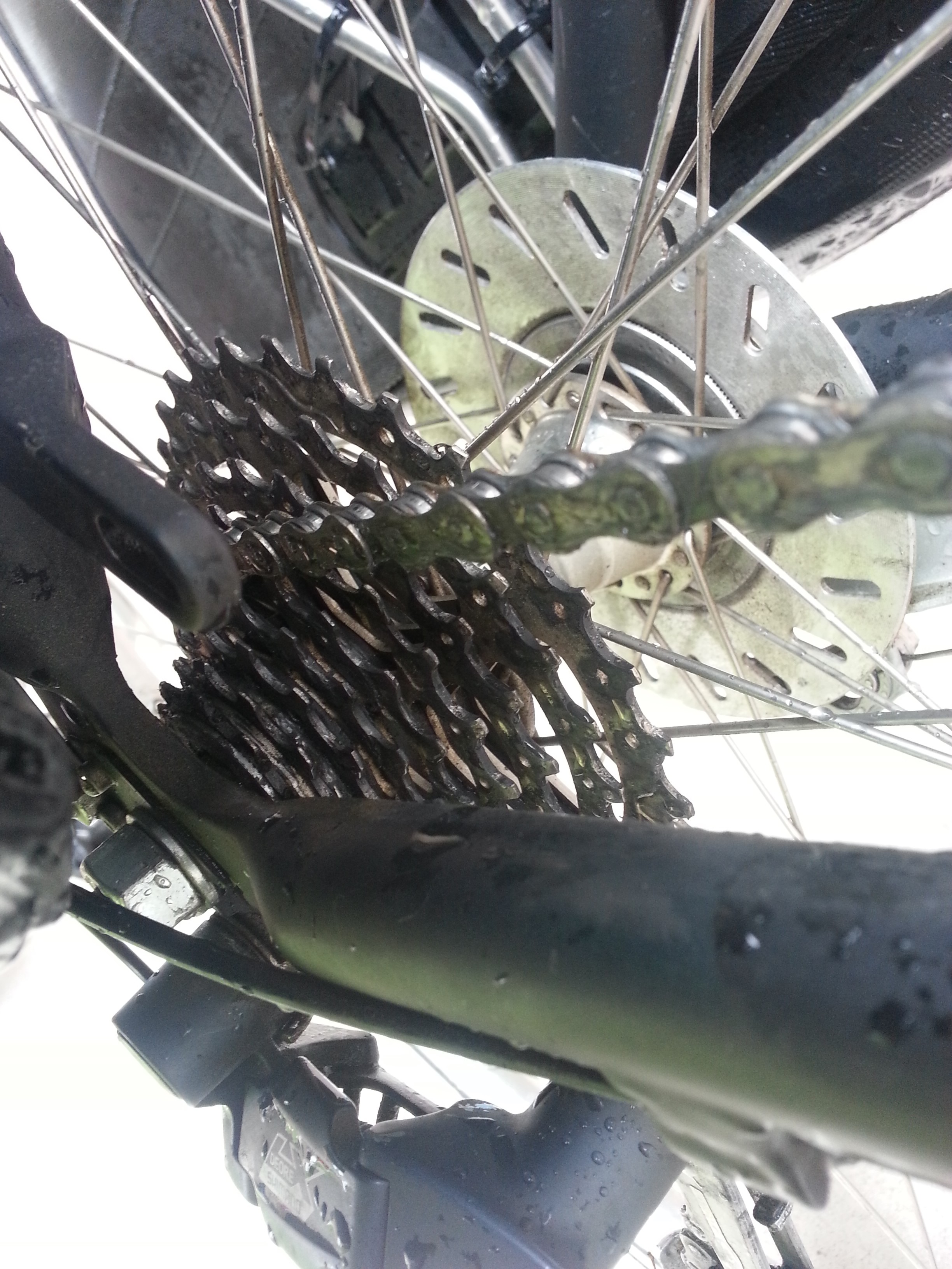 Green cannondale