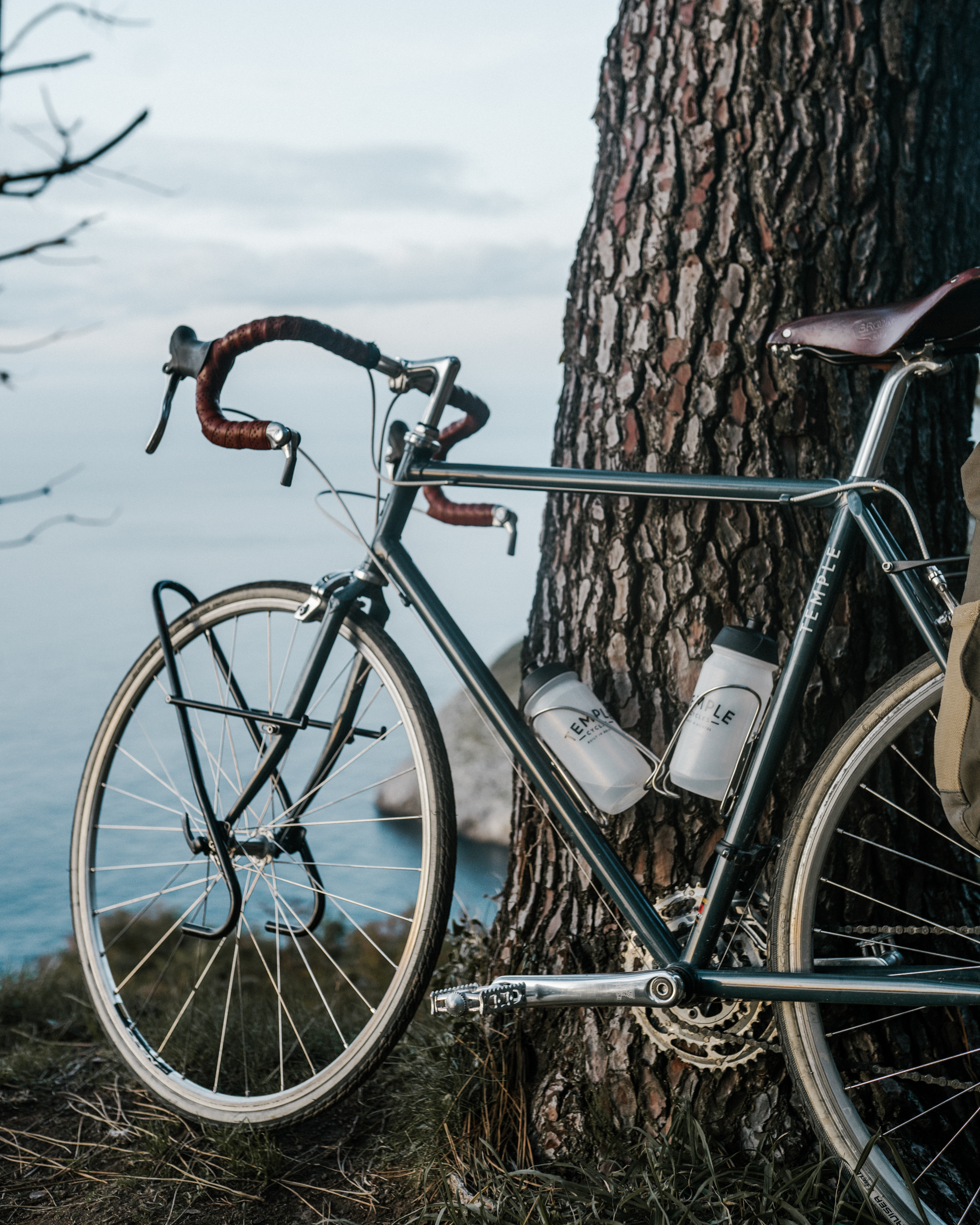 trek hardtail frame