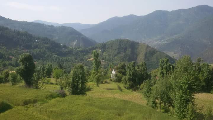 View from my balcony