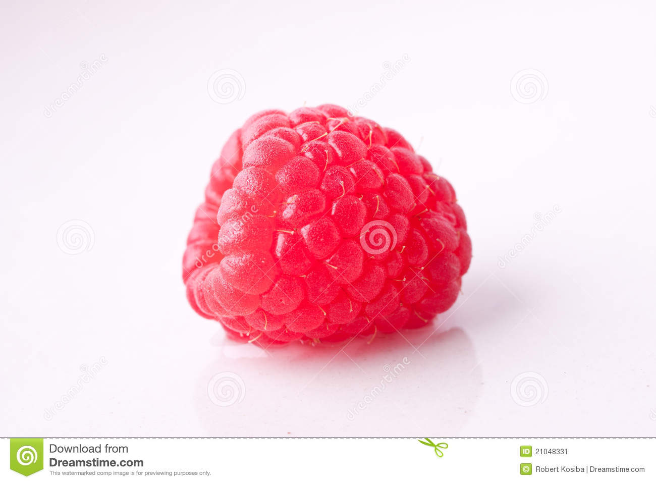 Feedback Raspberry